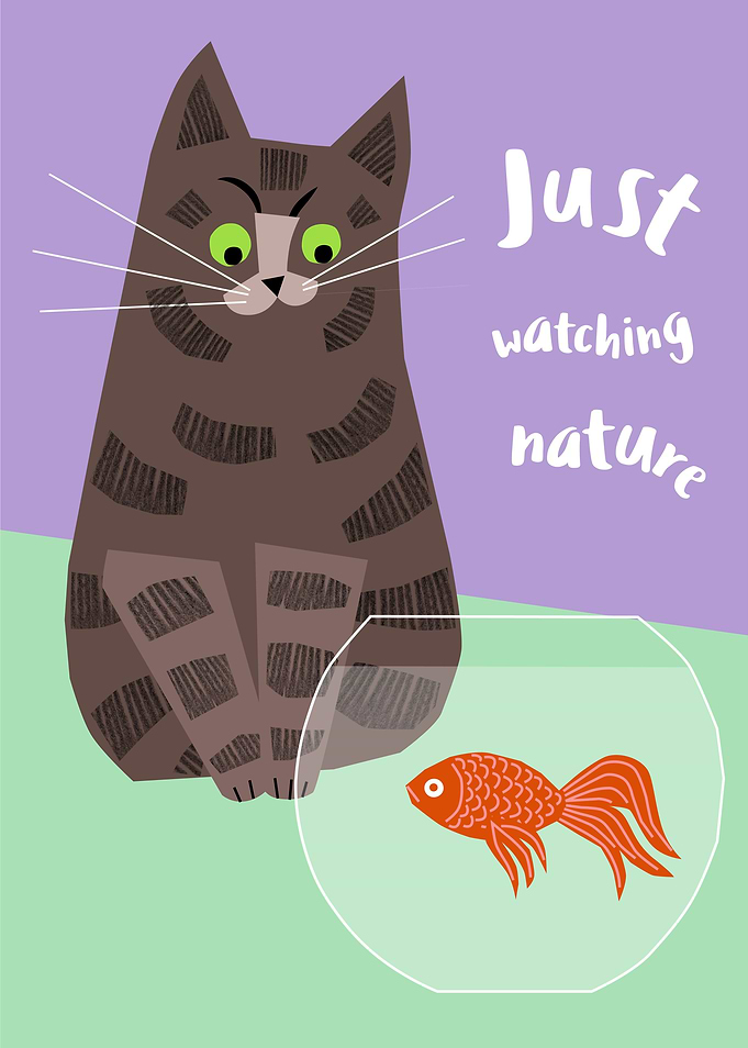 Watching Nature