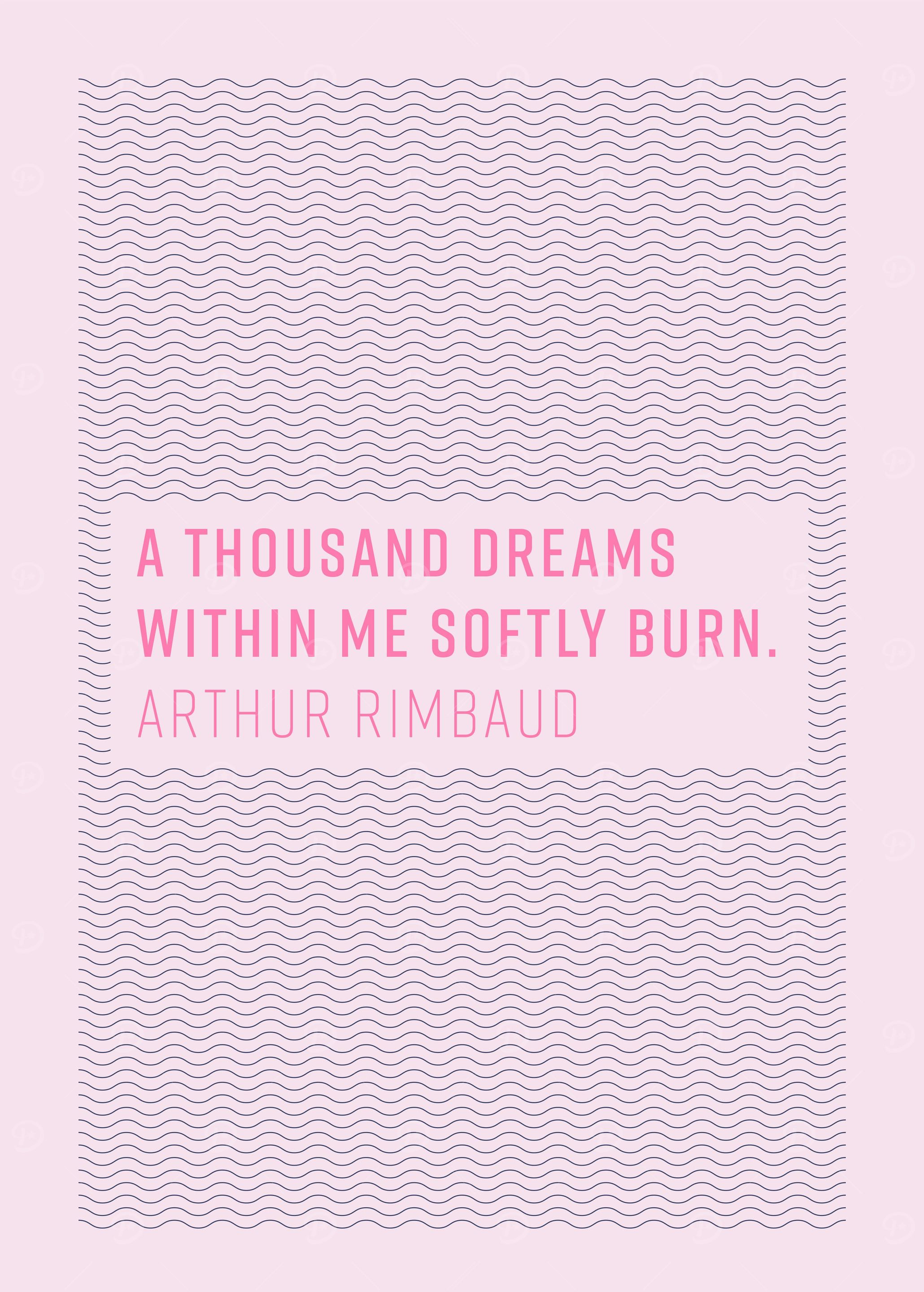 Literature quote 2
