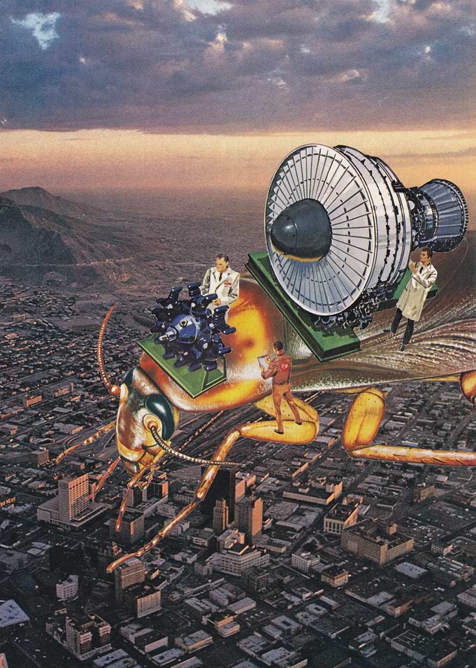 Cockroach Airways /collage