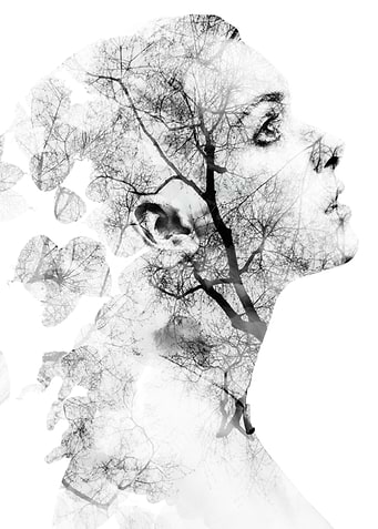 transition