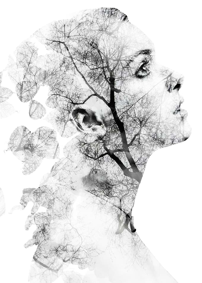 transition