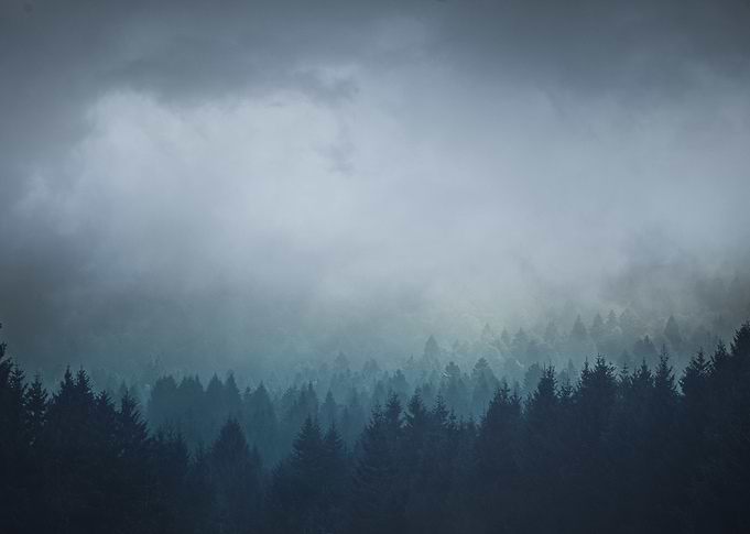 motion in stillness