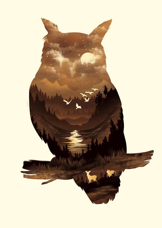 The Night Hunter