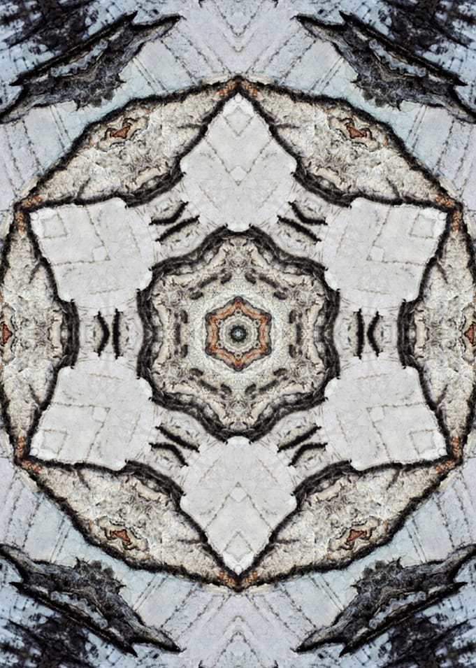 mandala black&white