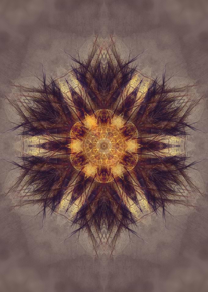 mandala brown