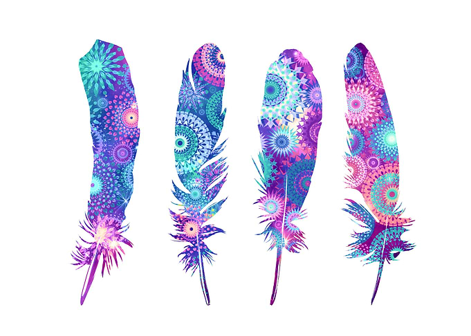 feathers mandala pink