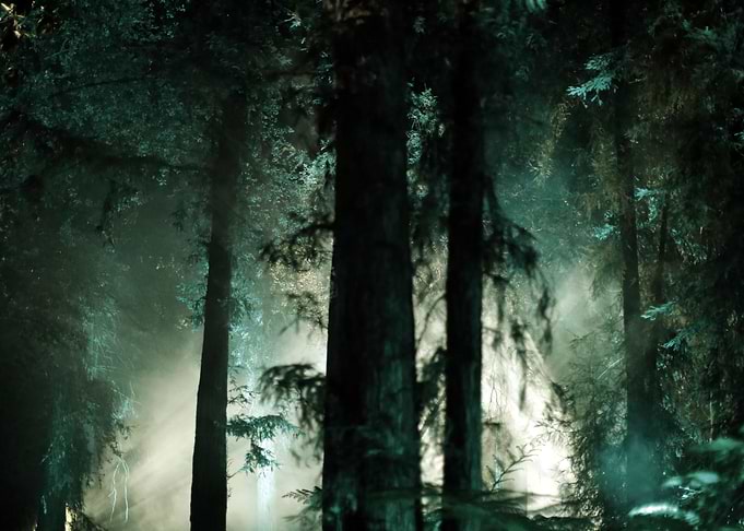 green night