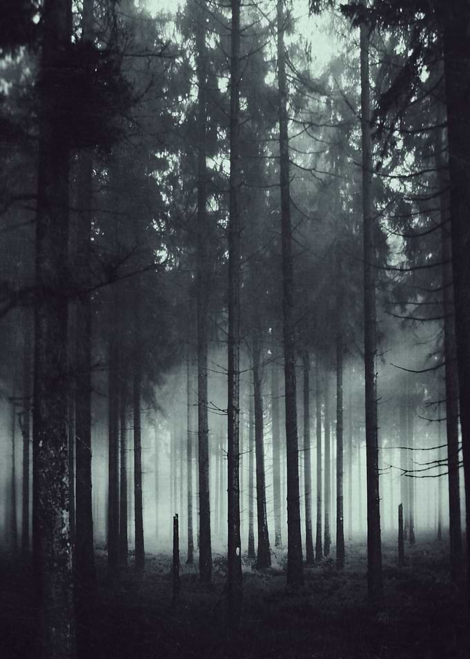 Shadow and Light
