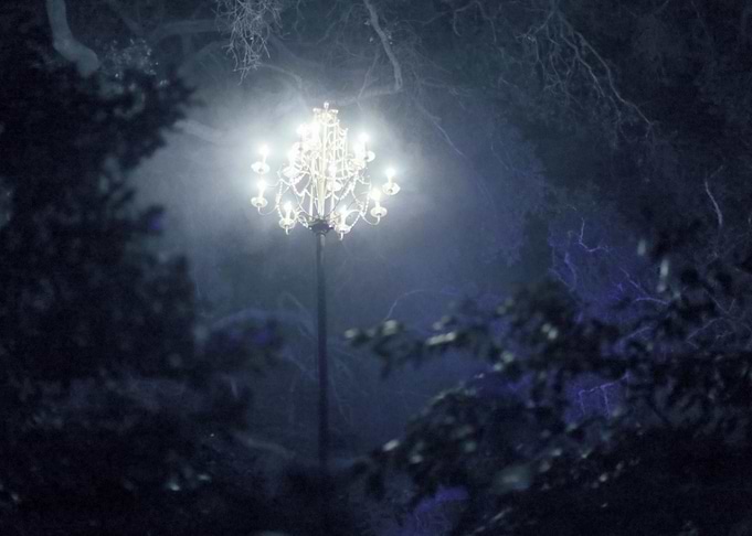 enchanted forest