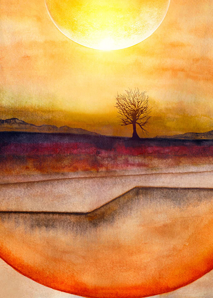 Lone Tree 03