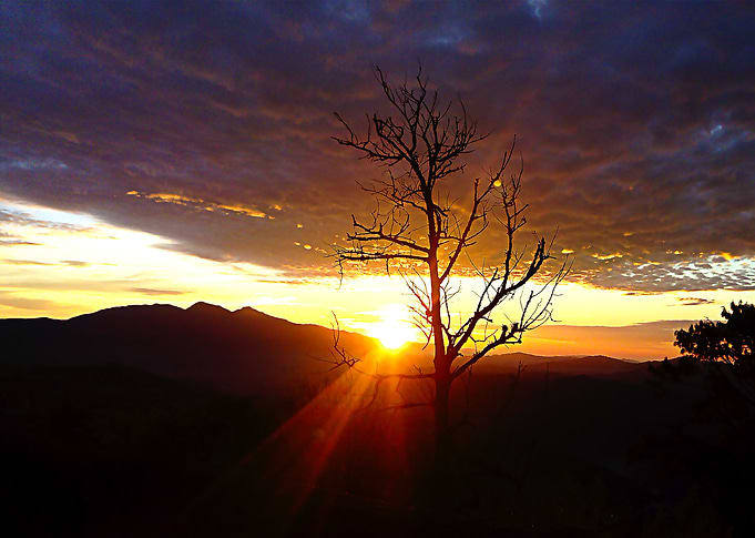 Dawn of a star