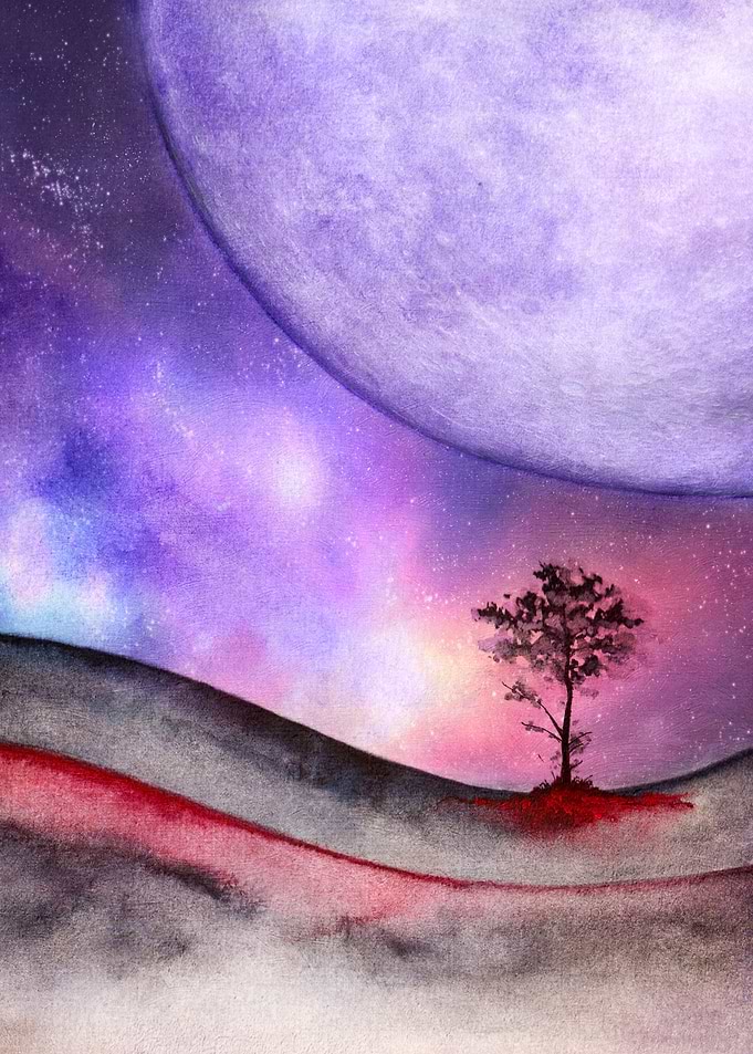Lone Tree 02