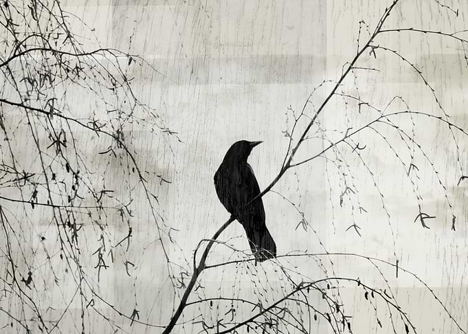 Crow and Willow