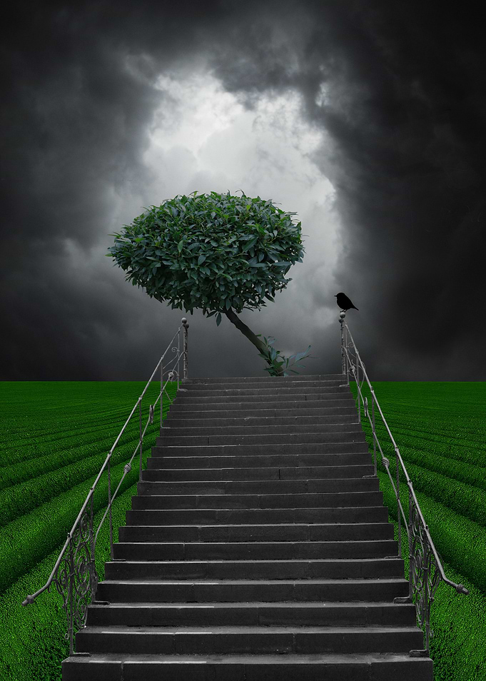 little green tree