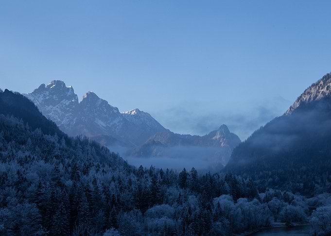 Cold Morning