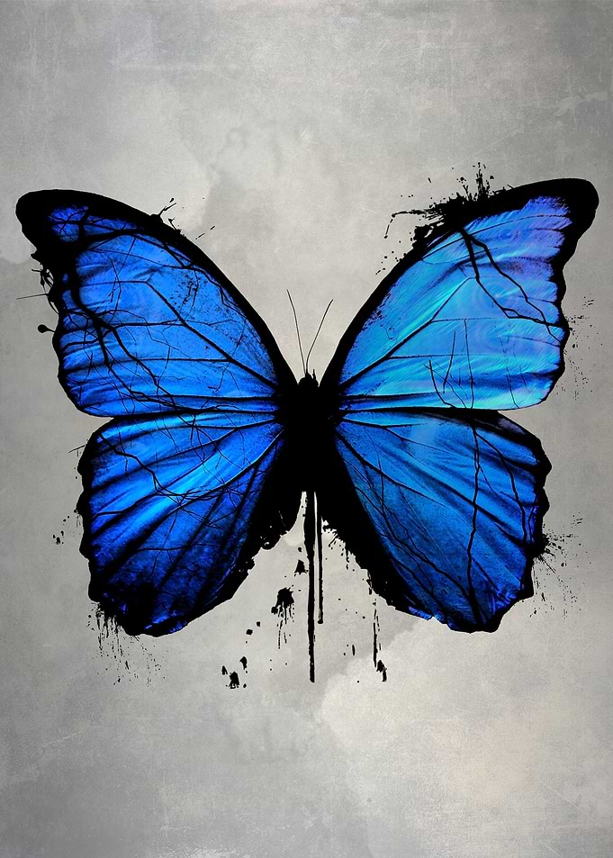 Butterfly