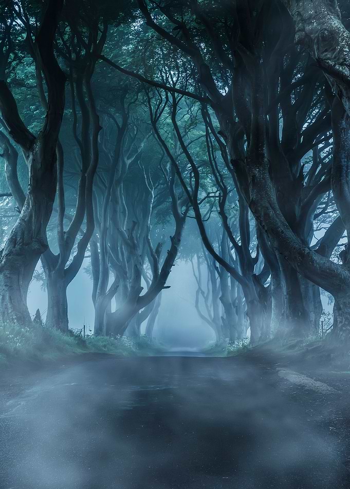 Dark Hedges alley in northern Ireland