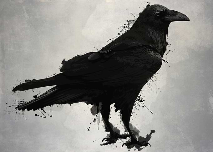 Crow