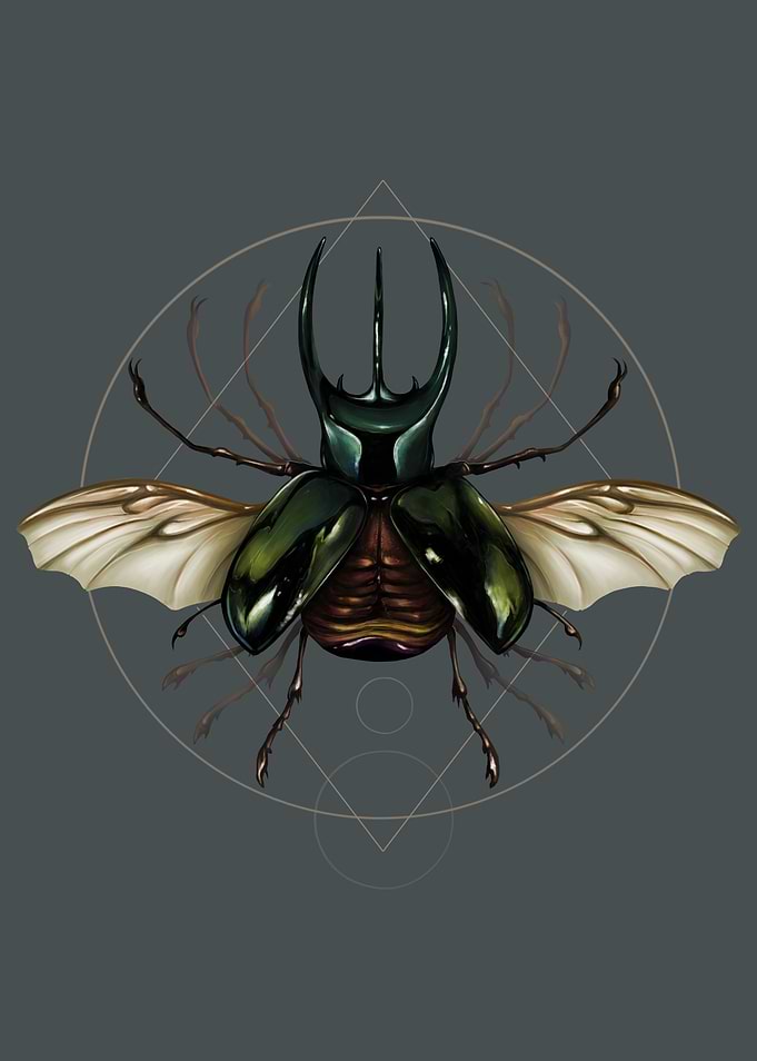 Vitruvian Beetle