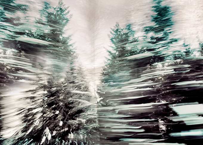 Moved By Trees V