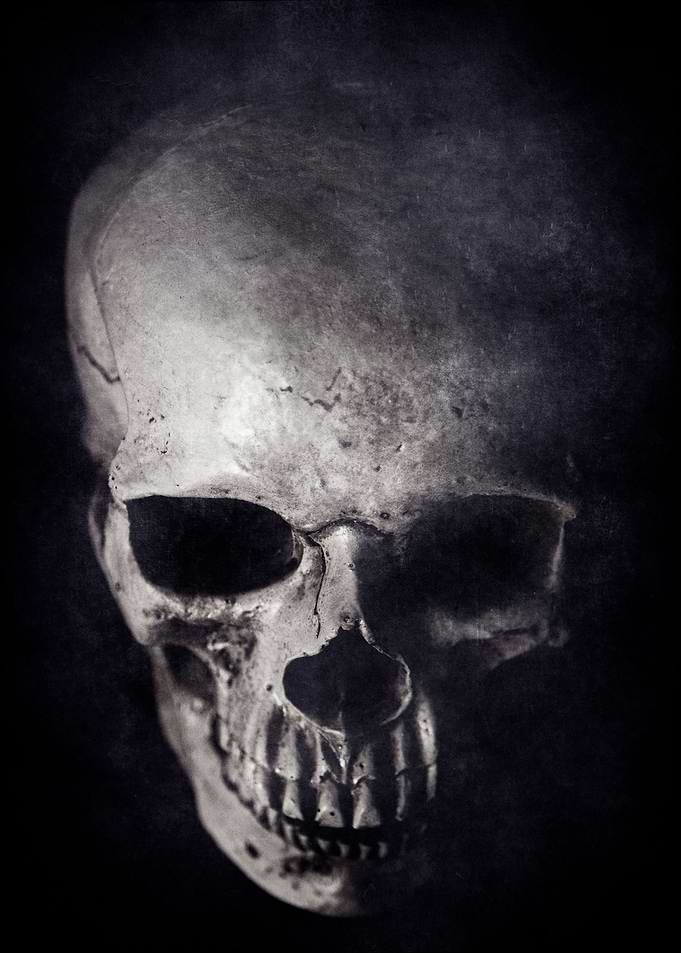 Skull