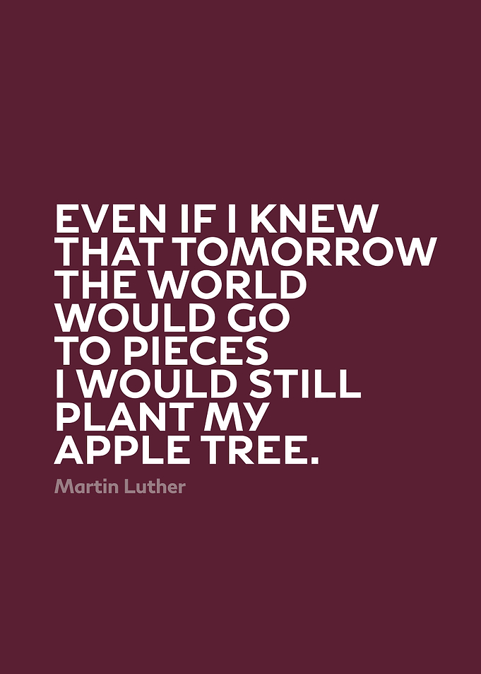 Inspirational Quote by Martin Luther Series 008