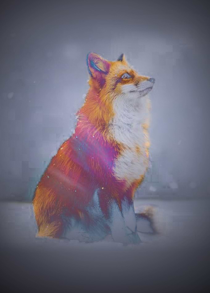 The Red Fox And The Aurora II