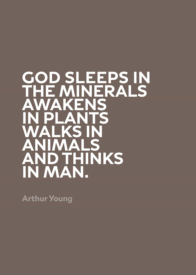 Inspirational Quote by Arthur Young Series 020