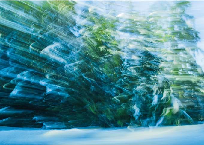 Moving Trees iv