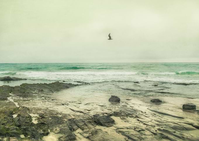 Solo Flight - Southern California Coast