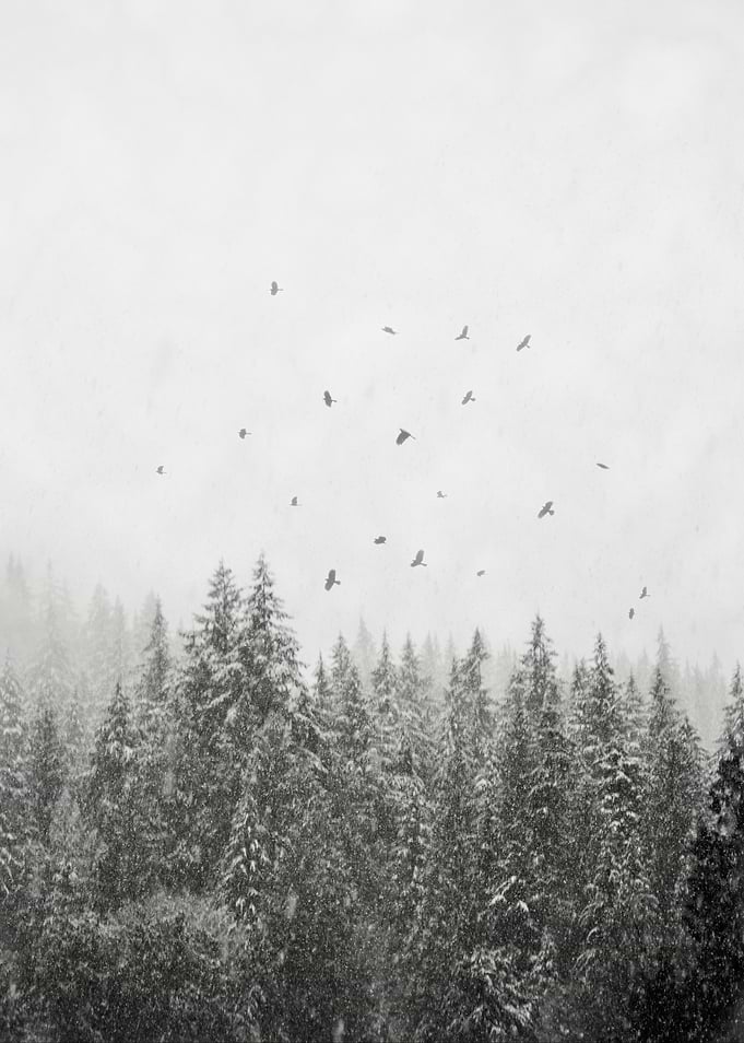 Snowbirds ii
