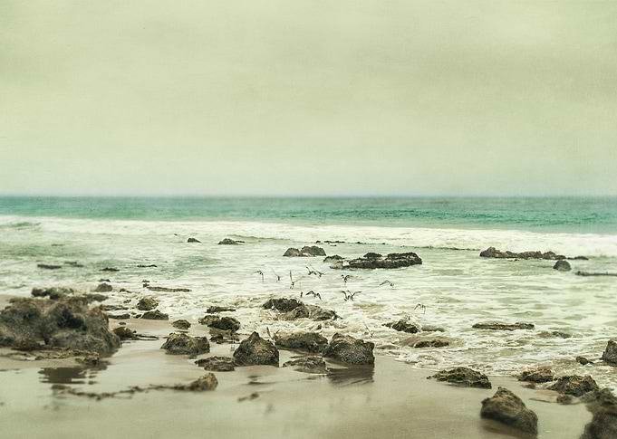 Release - Southern California Coast