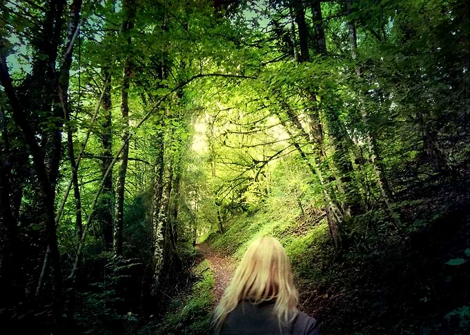 walk into the woods