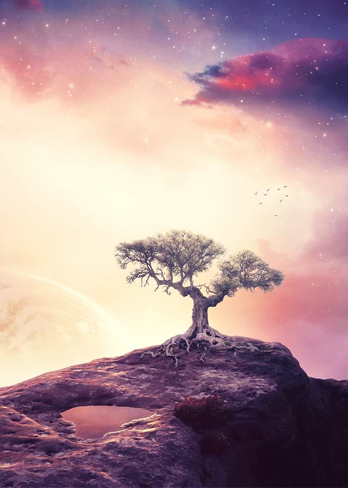 Paint the sky with stars