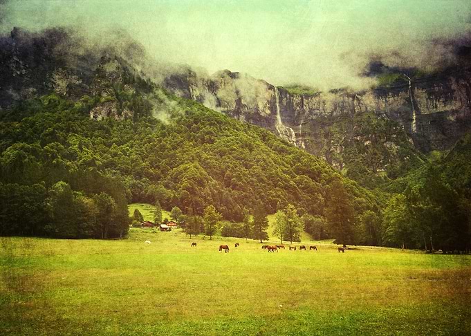 the clearing