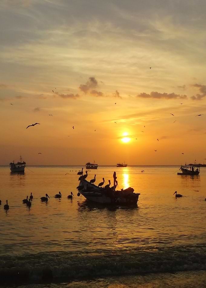 Sunset
