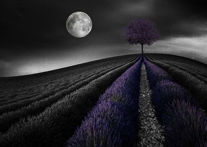 Lavender Hill