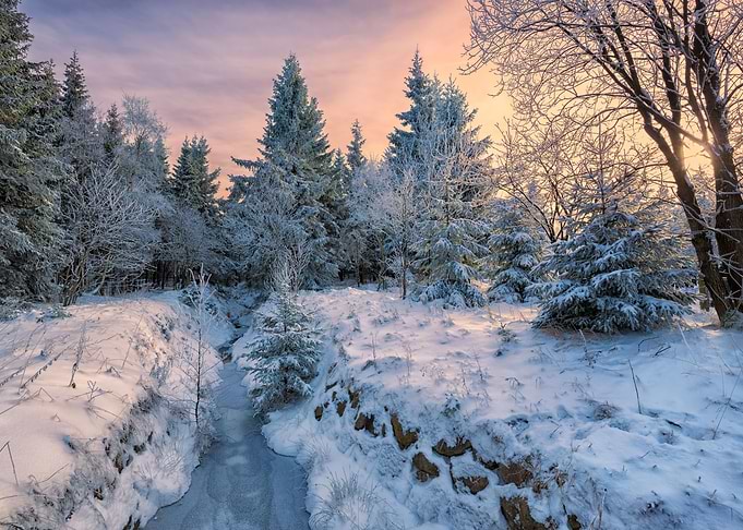 Winter wonderland