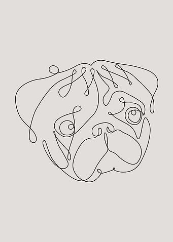 One Line Pug