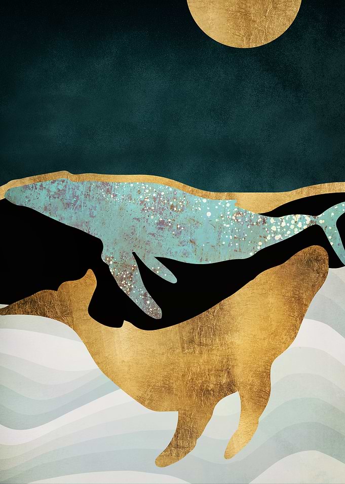Whale Song