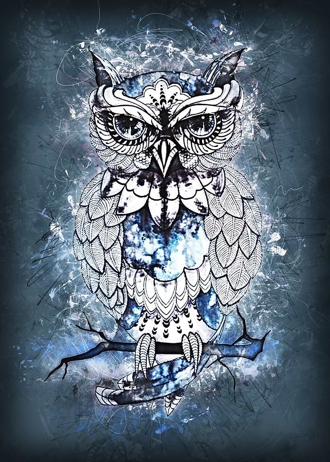 owl