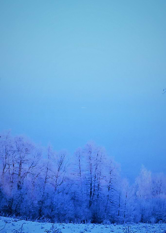 morning in rajsko