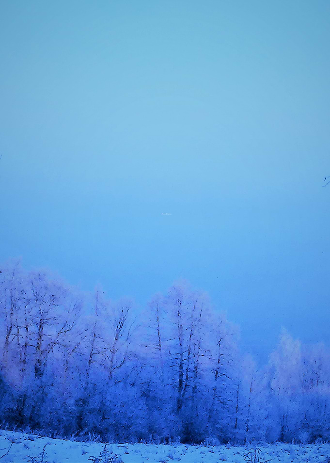 morning in rajsko