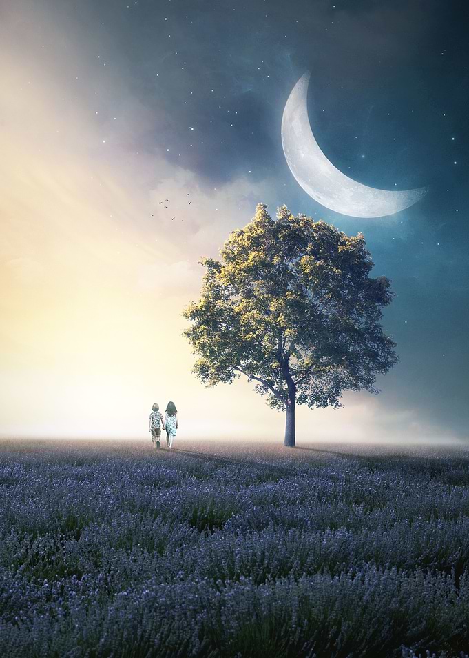 Friends Forever II