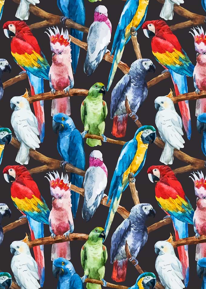 Parrot Pattern 04