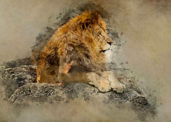 Digital painting of big lion on the rocks