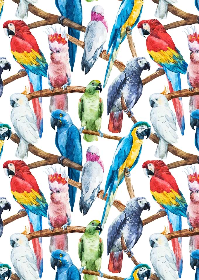 Parrot Pattern 02