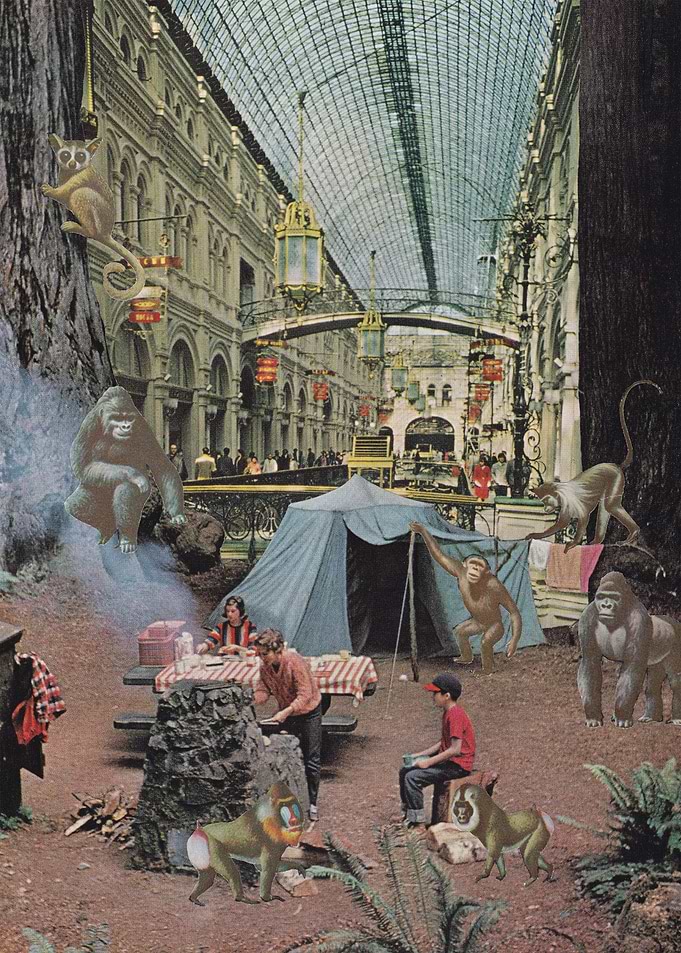 Into the Wild [collage]