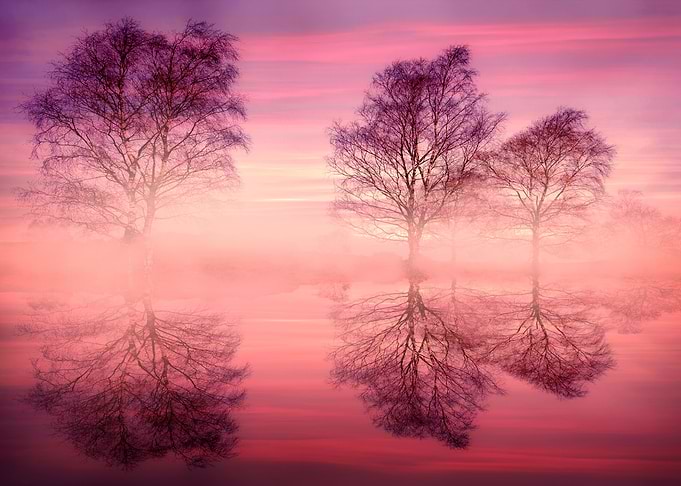 Pink Morning