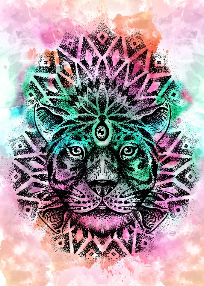 trance tiger colors